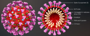 CoronaVirus